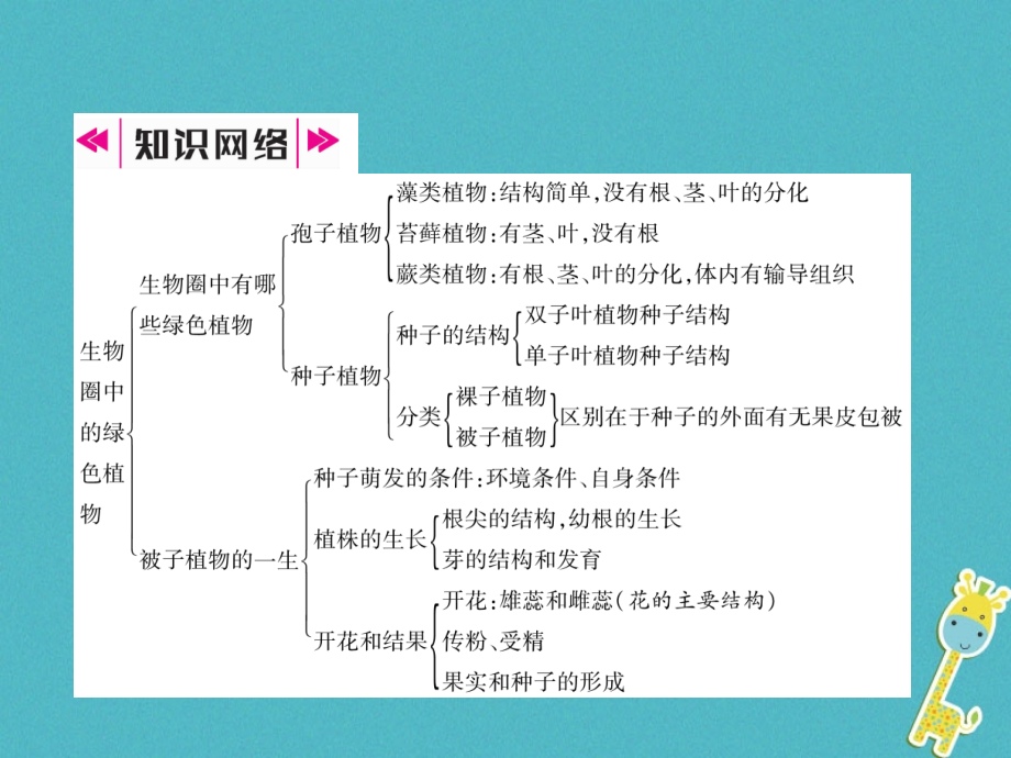 七年级生物上册第3单元第1-2章整理与复习习题.ppt_第2页