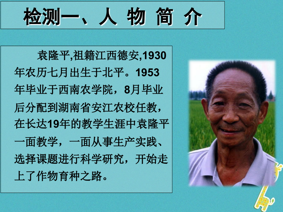 八年级语文上册11杂交水稻之父——袁隆平讲义语文.ppt_第2页