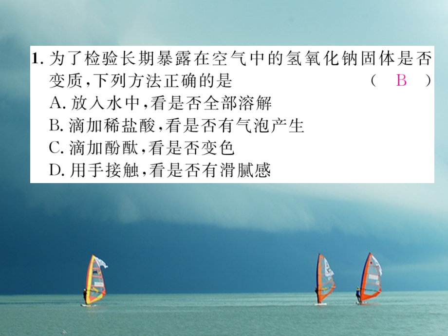 九年级化学下册专题训练3NaOHCa(OH)2变质的探究作业.ppt_第2页