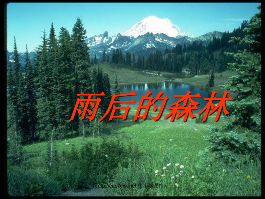 一年级语文上册课文4雨后的森林讲义语文S版.ppt_第2页