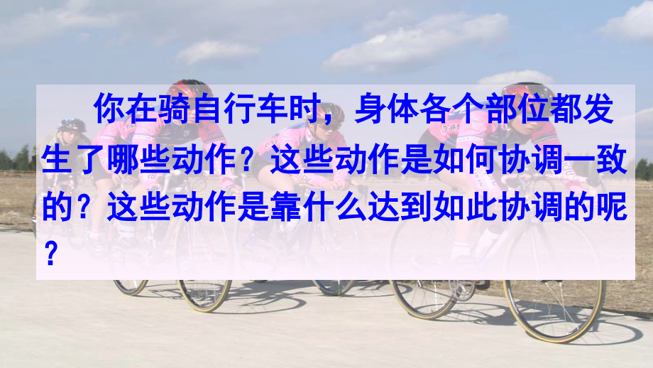 广东省河源市七年级生物下册-4.6.2-神经系统的组成讲义-(新版).ppt_第2页