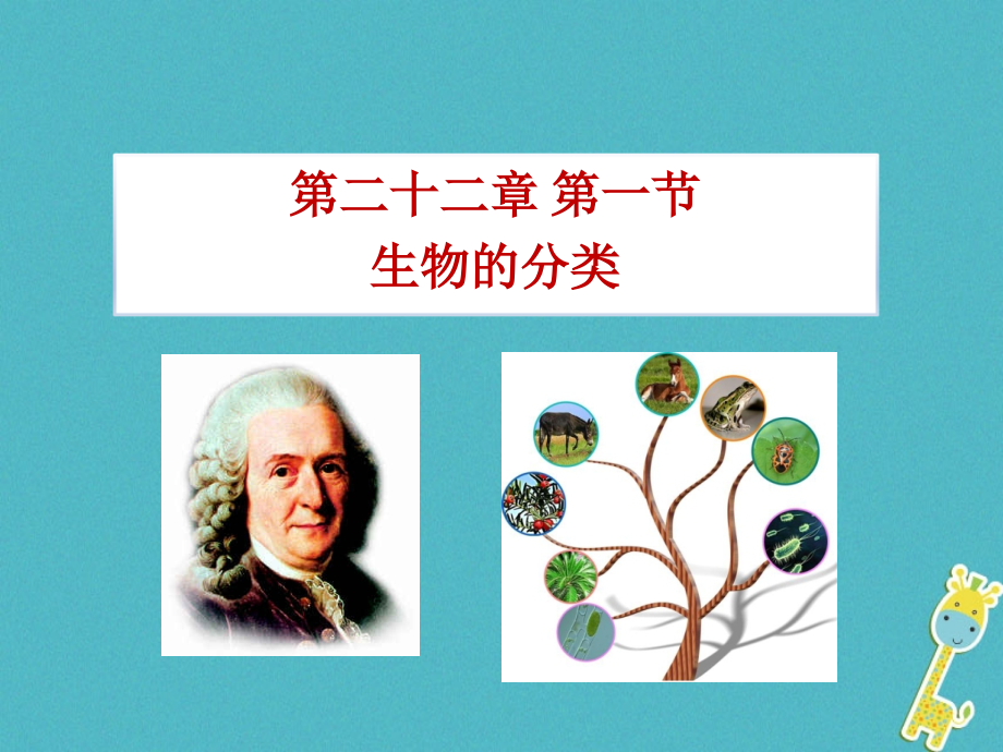 八年级生物下册22.1生物的分类讲义北师大版本.ppt_第1页