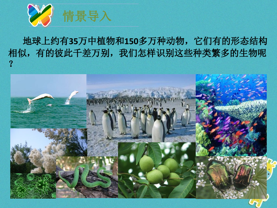 八年级生物下册22.1生物的分类讲义北师大版本.ppt_第2页
