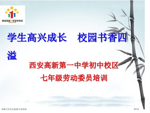 班级卫生打扫标准.pptx