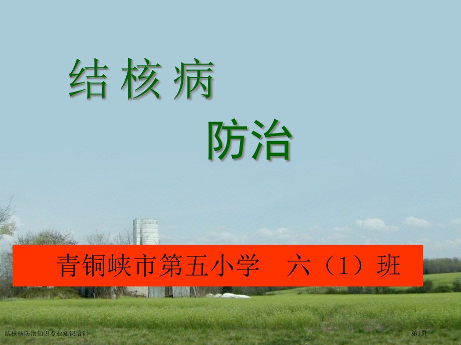 结核病防治知识专业知识培训.pptx_第1页