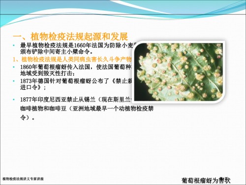 植物检疫法规讲义.pptx
