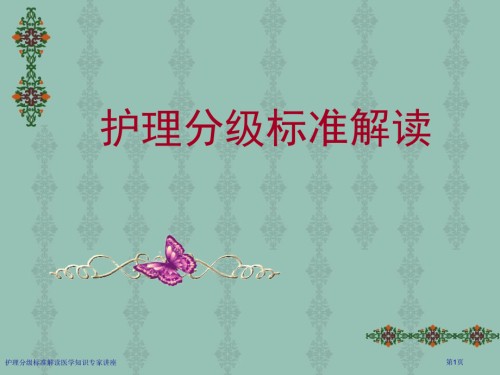 护理分级标准解读医学知识.pptx