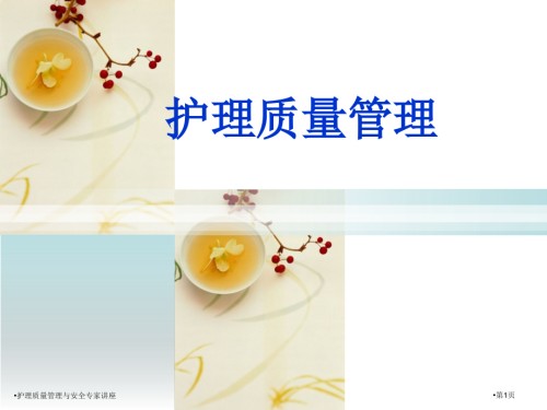护理质量管理与安全.pptx