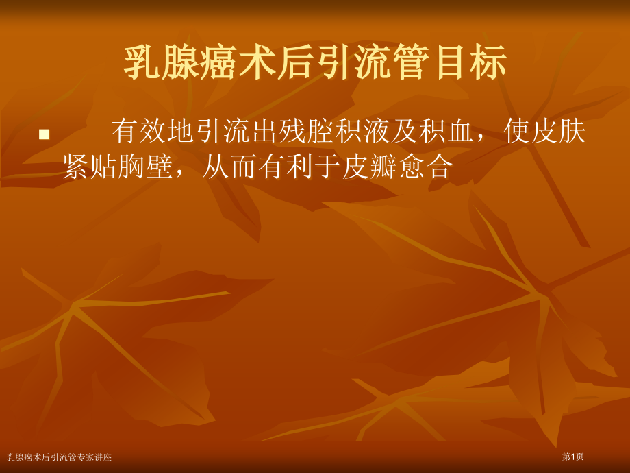 乳腺癌术后引流管.pptx_第1页