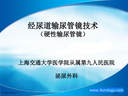 经尿道输尿管镜技术.pptx