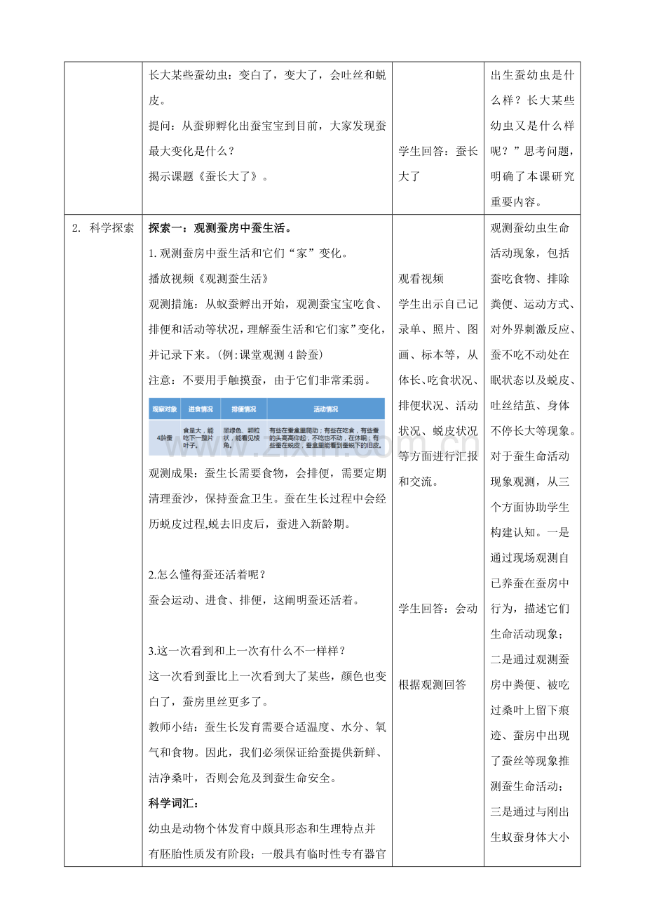 2025年教科版小学科学三年级下册2.3蚕长大了教案.doc_第2页