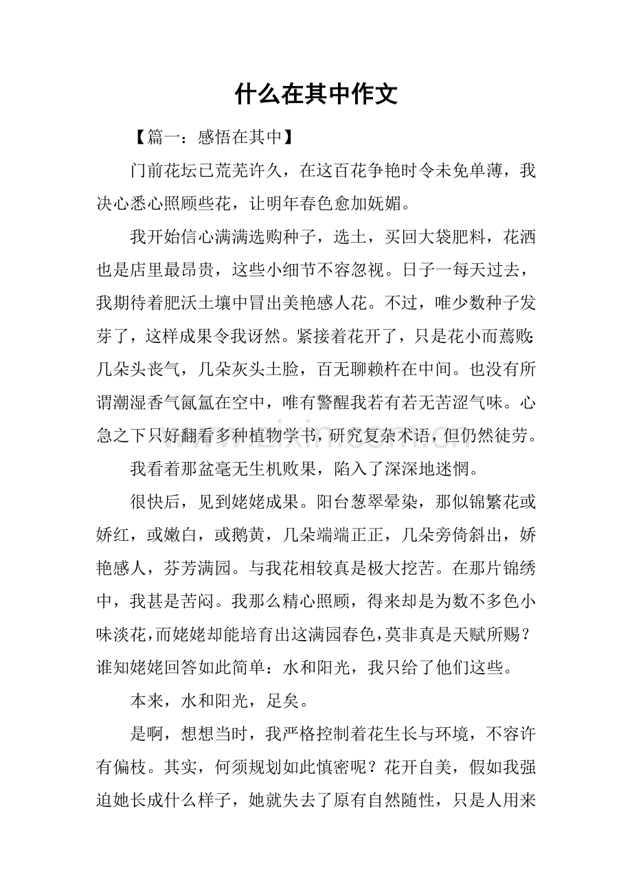 2025年什么在其中的作文.docx_第1页
