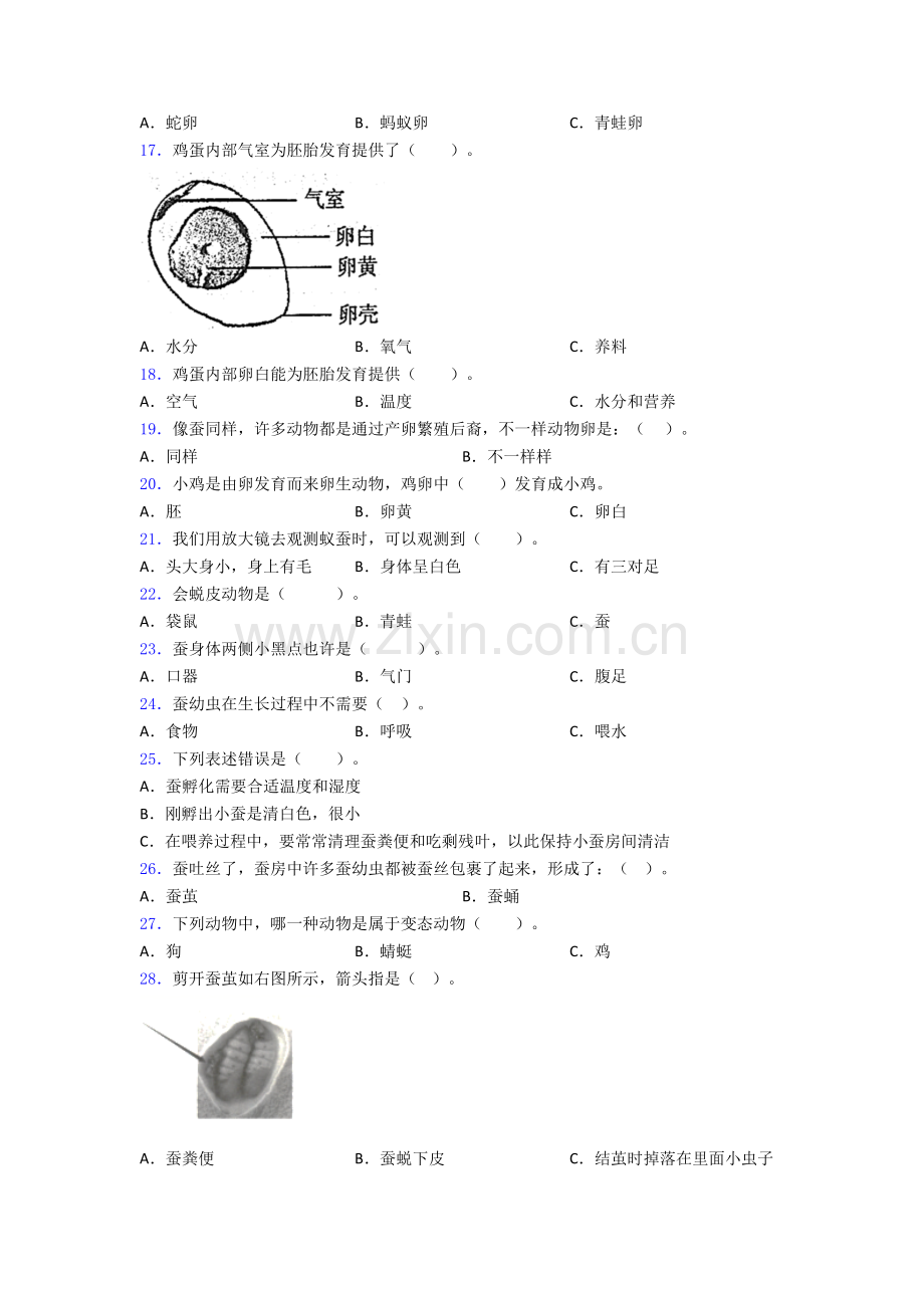 2025年教科版三年级下册科学期末试卷测试题含解析.doc_第2页