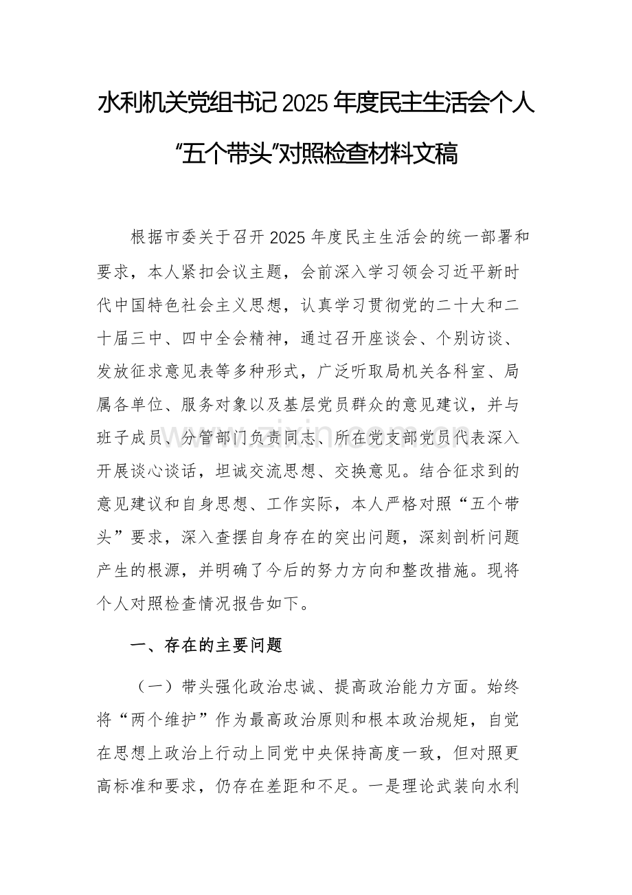 水利机关党组书记2025年度民主生活会个人“五个带头”对照检查材料文稿.docx_第1页