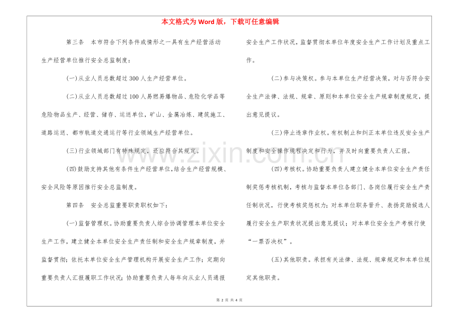2025年北京市生产经营单位安全总监制度实施办法试行.docx_第2页