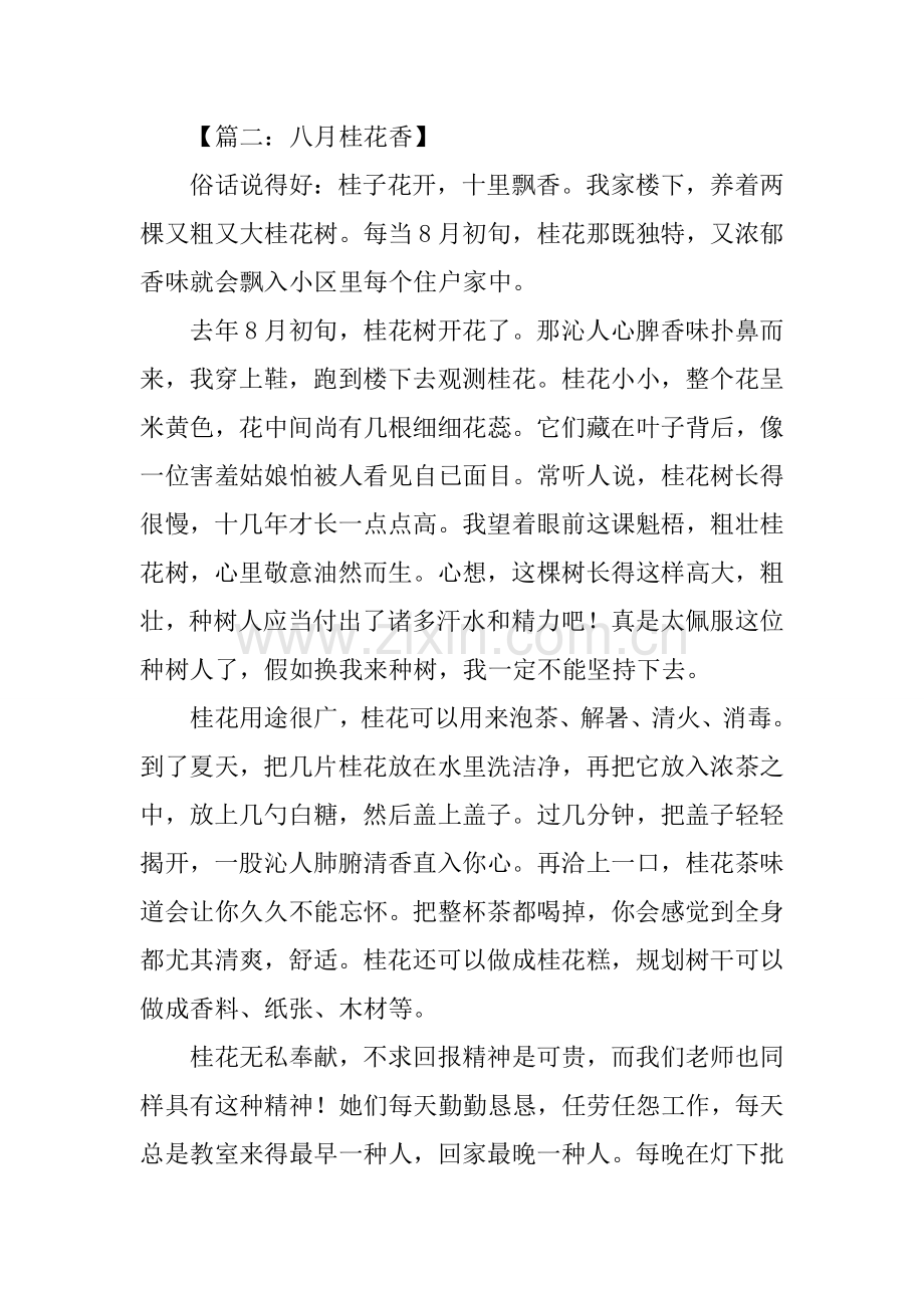 八月桂花香作文.docx_第2页