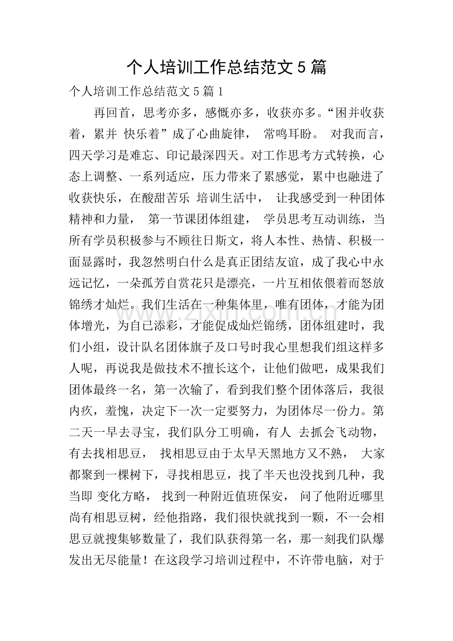 个人培训工作总结范文5篇.doc_第1页