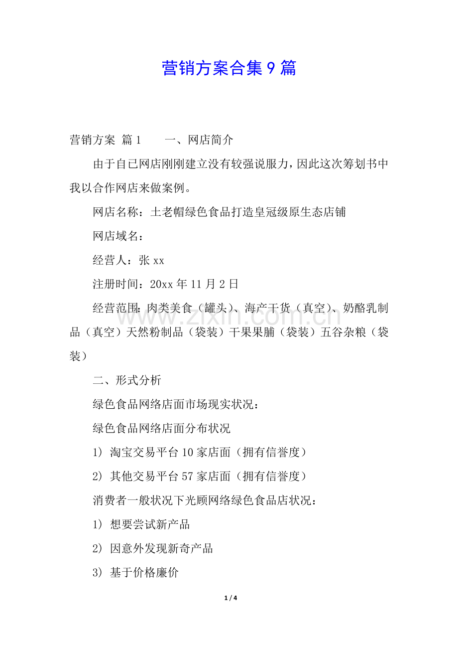 2025年营销方案合集9篇.docx_第1页