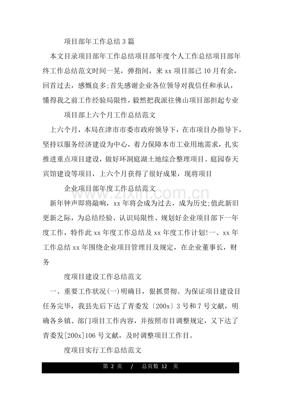 2025年项目工作总结集锦.doc_第2页