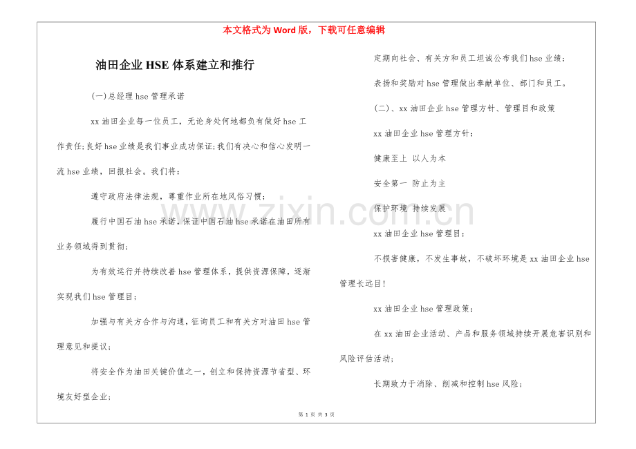 2025年油田公司HSE体系的建立和推行.docx_第1页