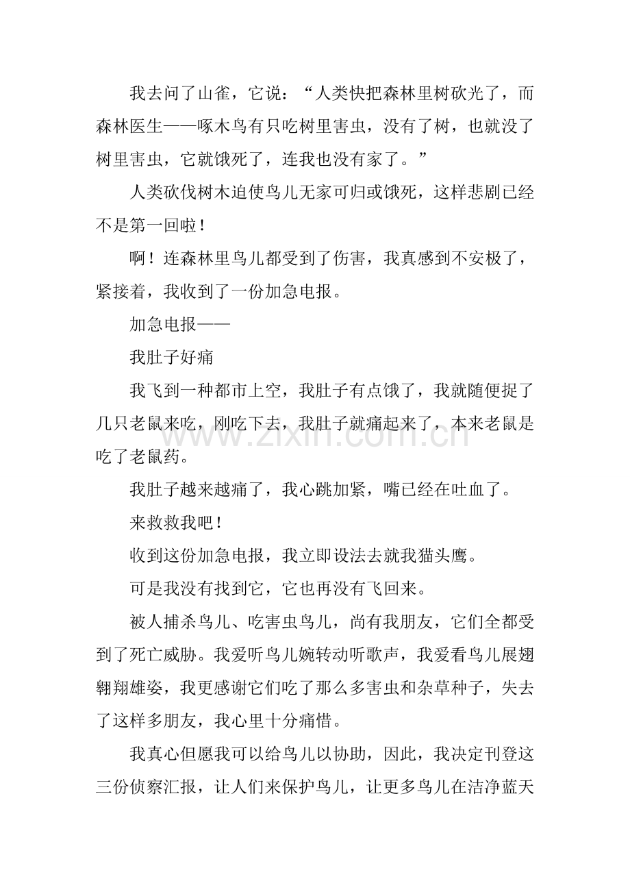 2025年鸟儿的侦察报告仿写.docx_第2页