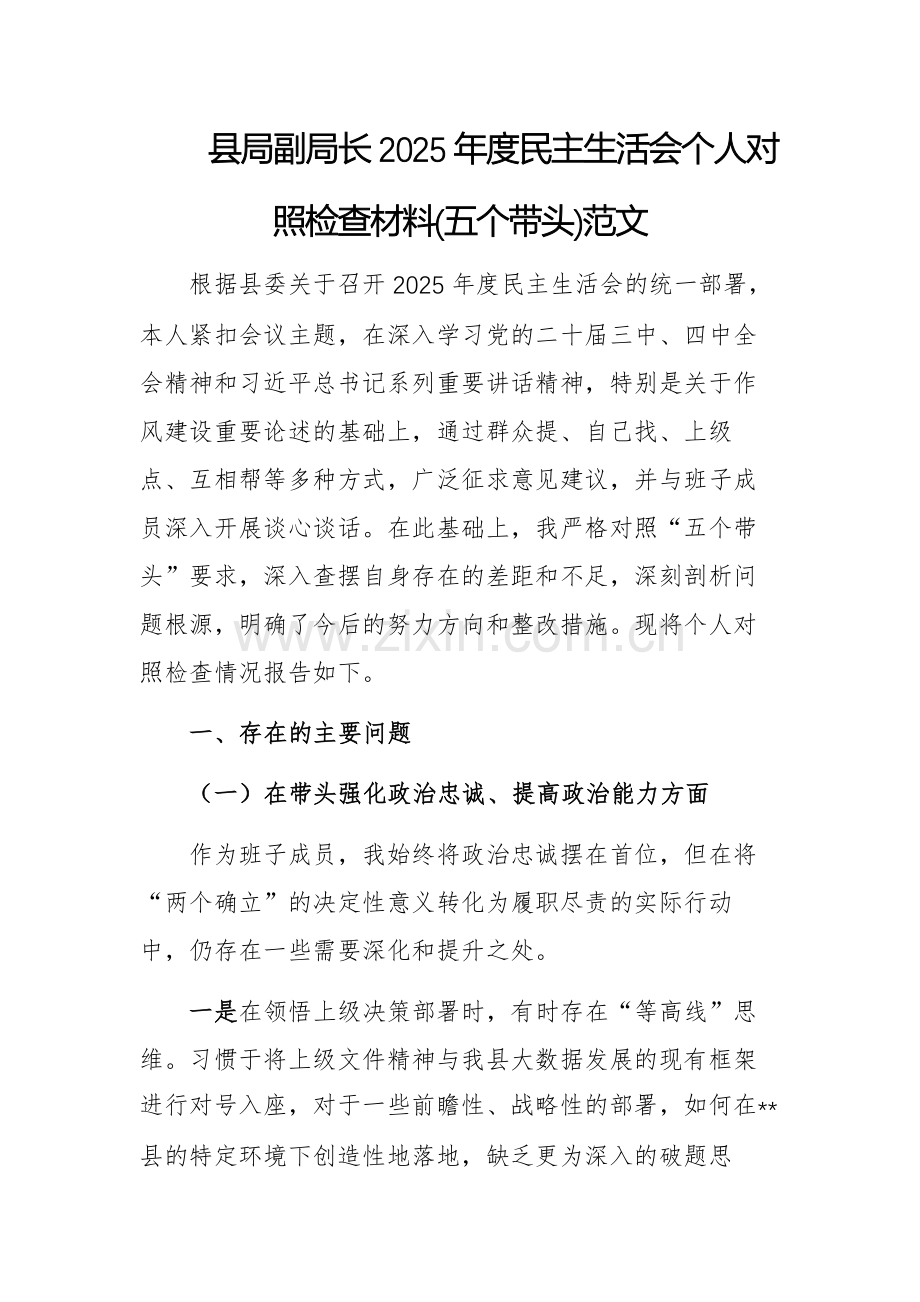 党政机关副职领导2025年度民主生活会个人对照检查材料(五个带头)范文.docx_第1页