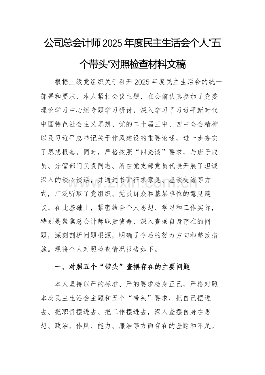 公司总会计师2025年度民主生活会个人“五个带头”对照检查材料文稿.docx_第1页