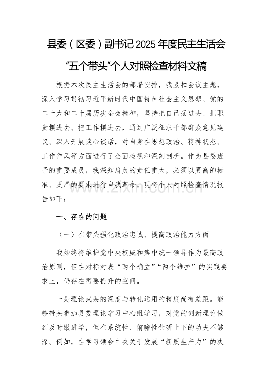 副书记2025年度民主生活会“五个带头”个人对照检查材料文稿.docx_第1页