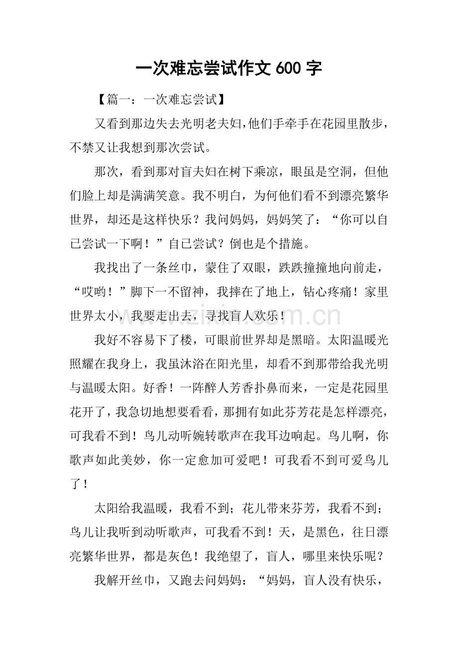 2025年一次难忘的尝试作文600字.docx_第1页
