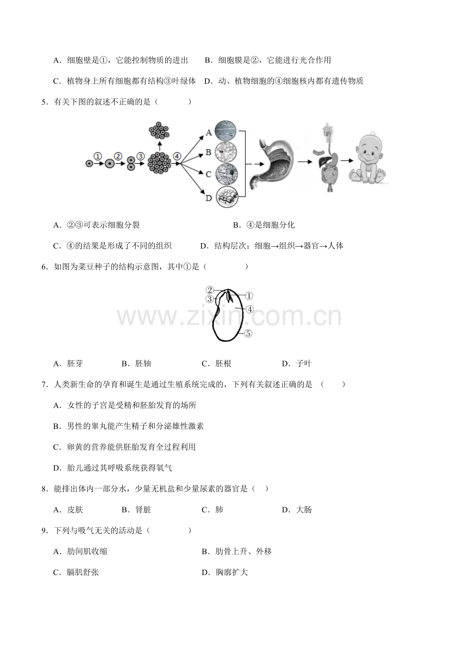2024年中考生物（武汉）第三次模拟考试（含答案）.docx_第2页
