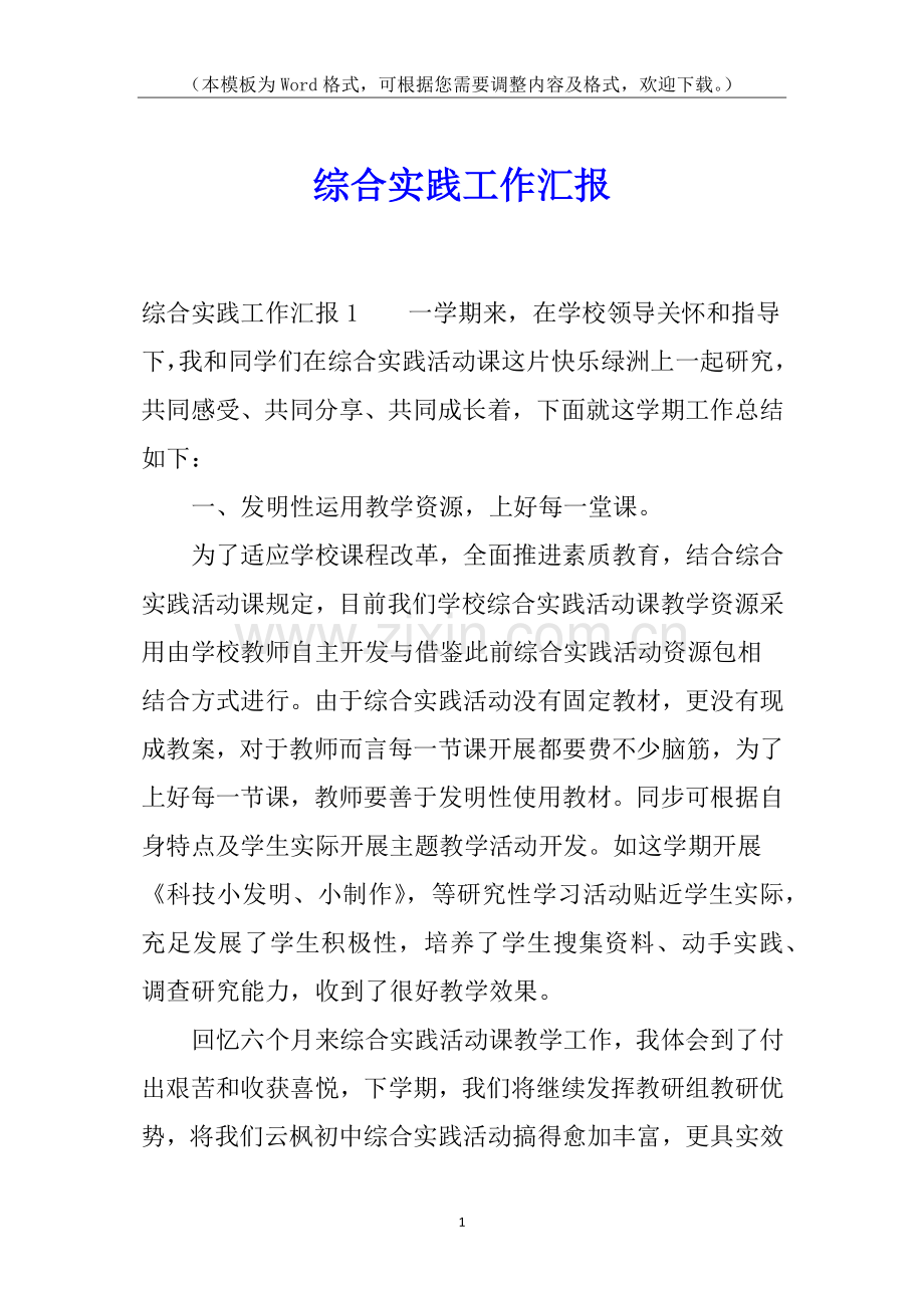 2025年综合实践工作报告.docx_第1页