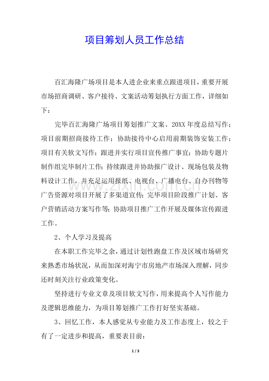 2025年项目策划人员工作总结.docx_第1页