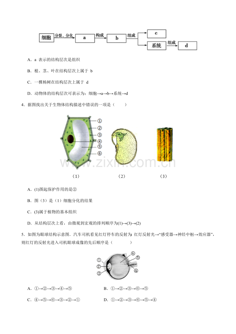 2024年中考生物（安徽）第三次模拟考试（含答案）.docx_第2页