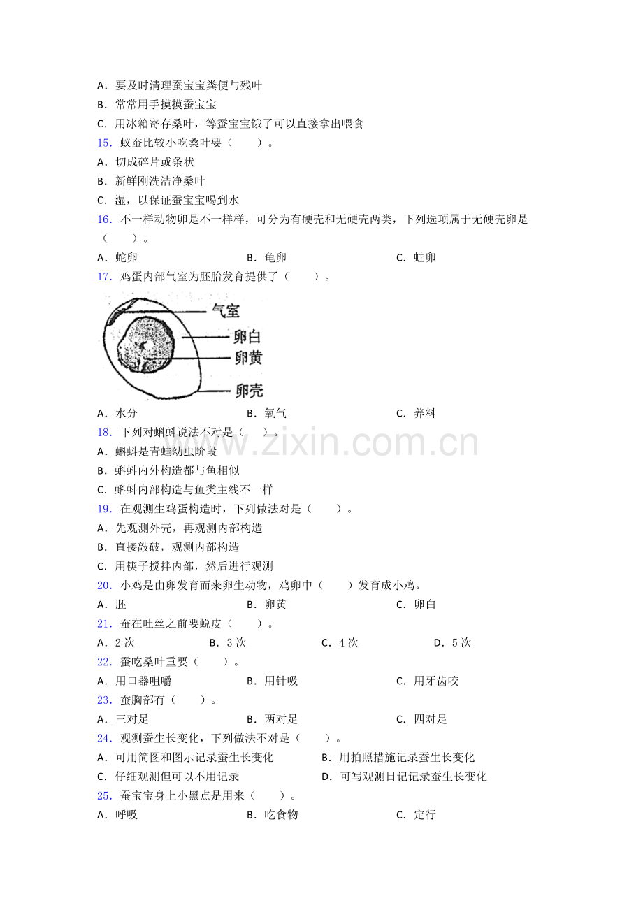 2025年期末试卷篇含解析.doc_第2页