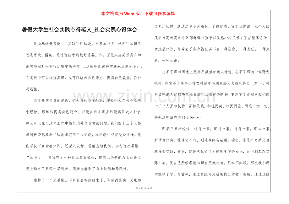 2025年暑假大学生社会实践心得范文社会实践心得体会.docx_第1页