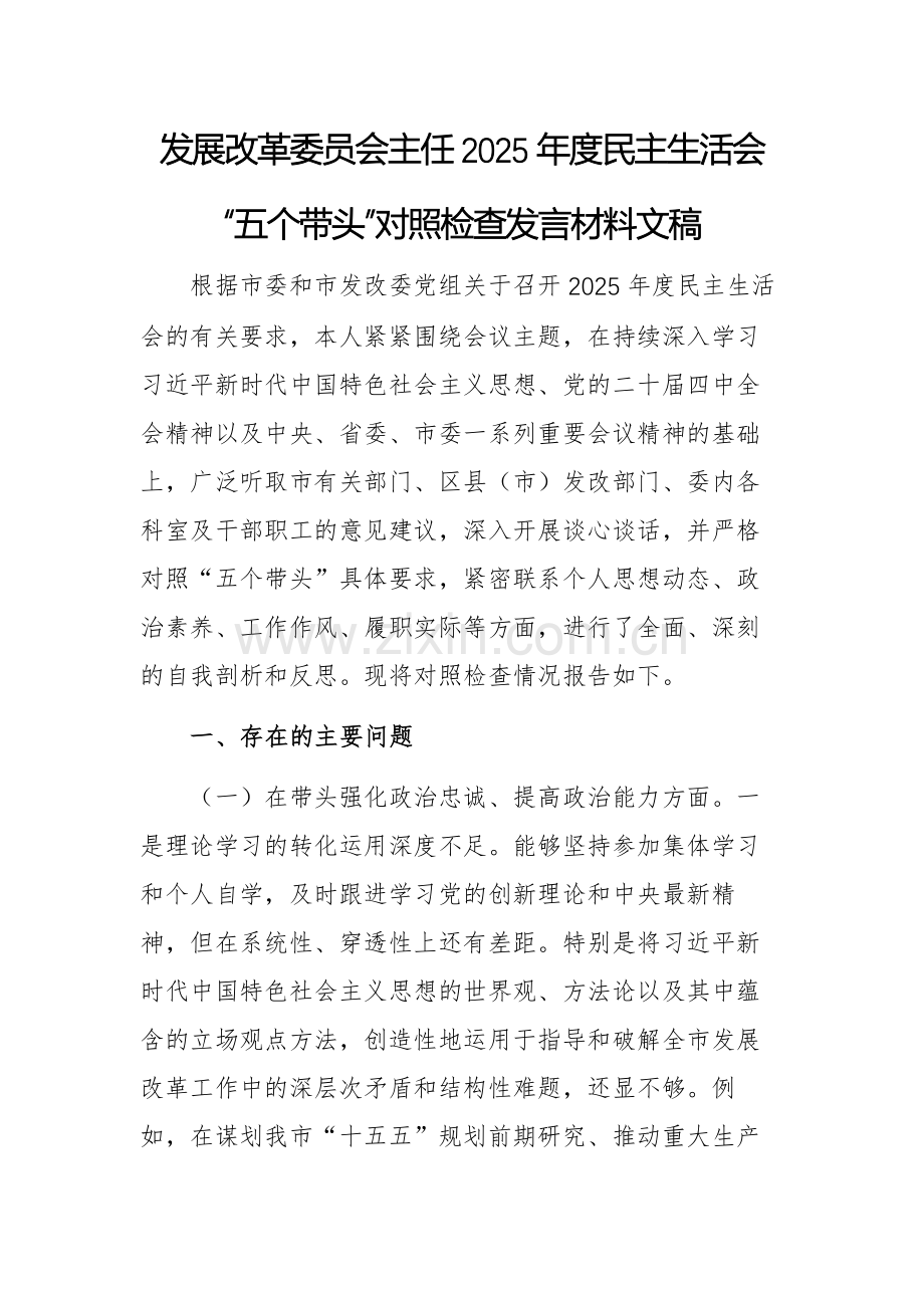 发展改革委员会主任2025年度民主生活会“五个带头”对照检查发言材料文稿.docx_第1页