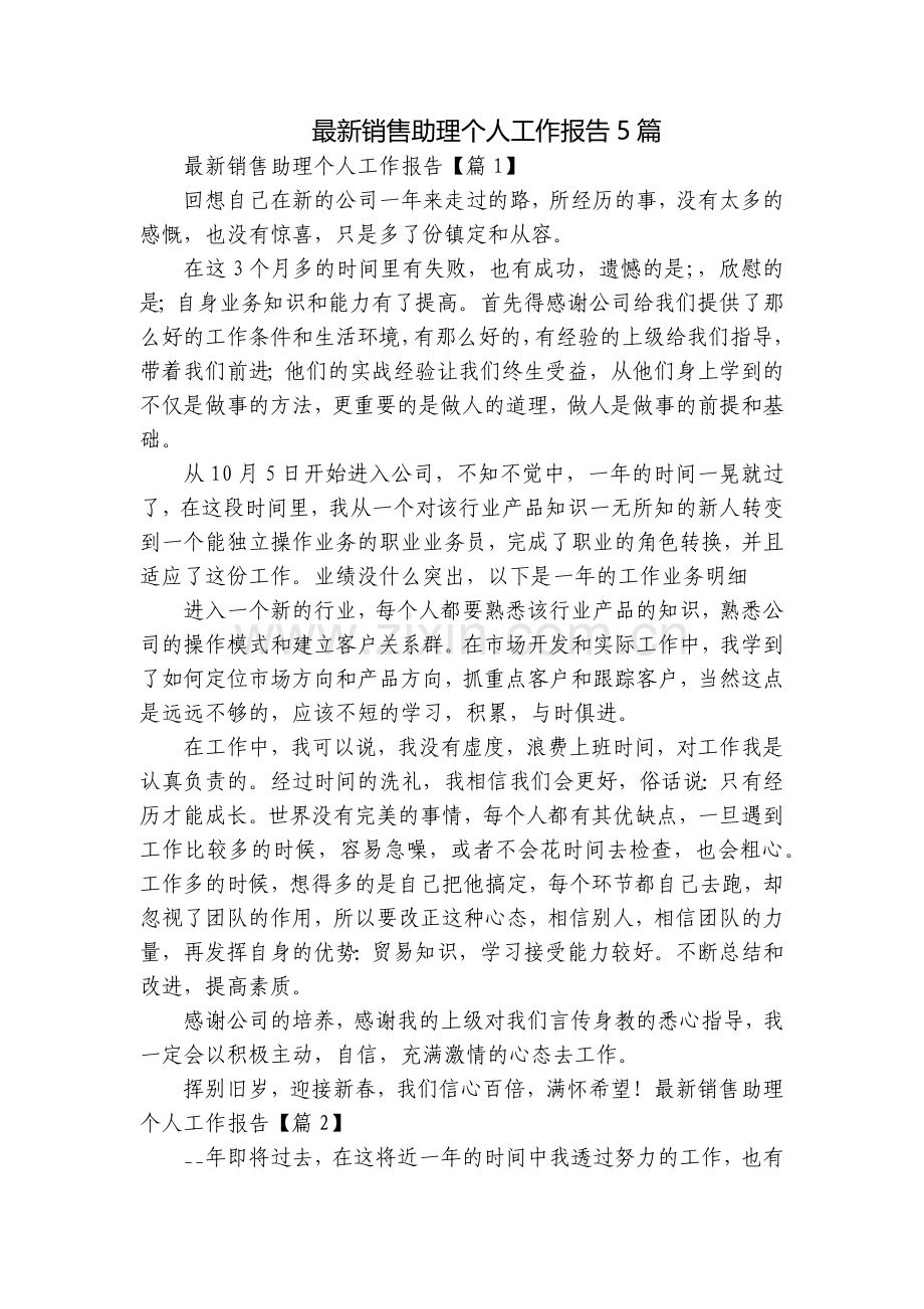 销售助理个人工作报告5篇.docx_第1页