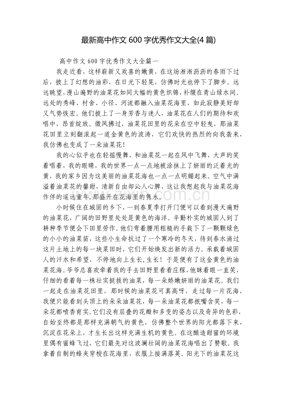 高中作文600字优秀作文大全(4篇).docx_第1页