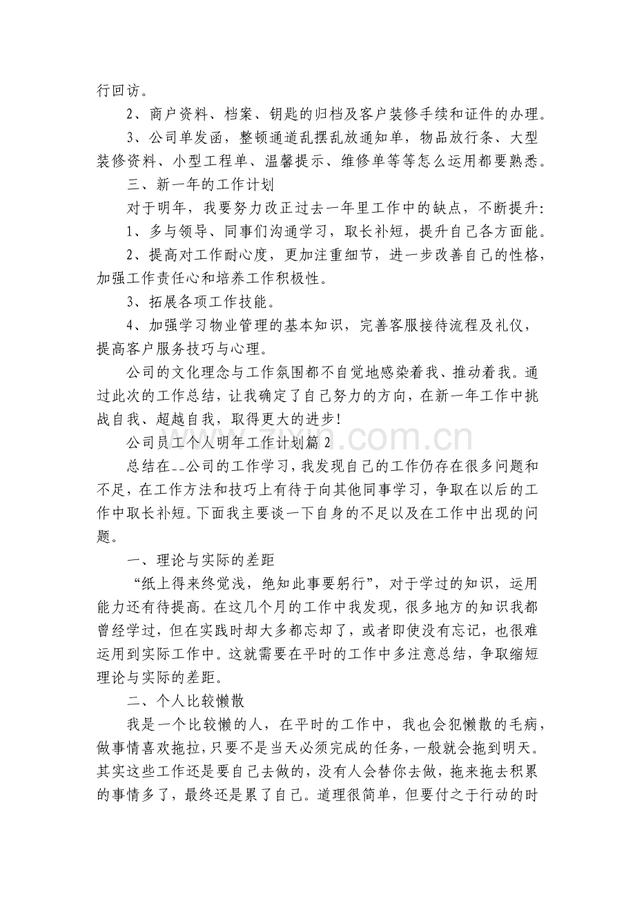 公司员工个人明年工作计划7篇.docx_第2页