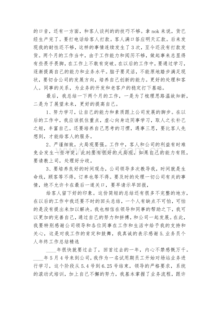 业务员个人年终工作总结【5篇】.docx_第2页
