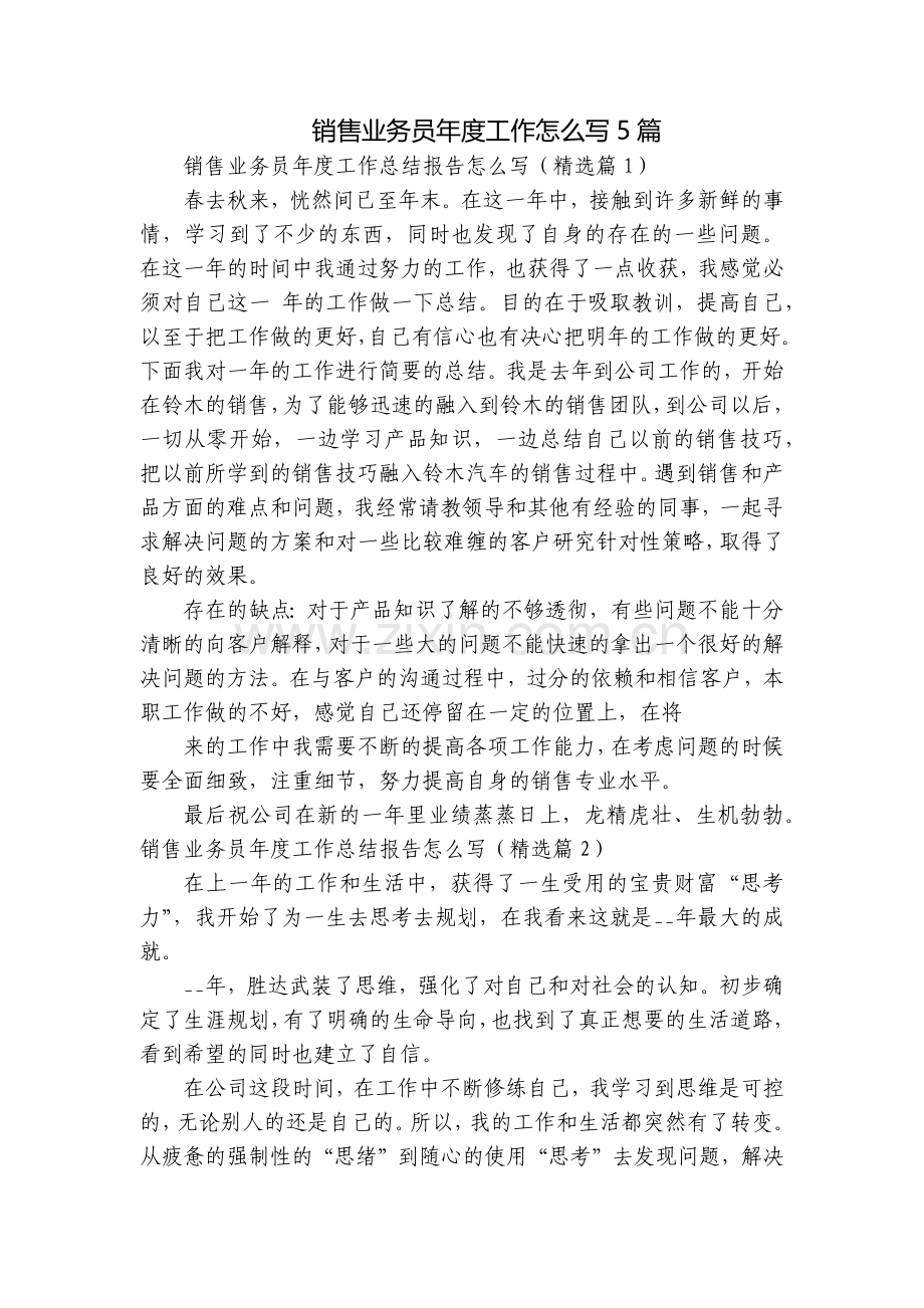 销售业务员年度工作怎么写5篇.docx_第1页