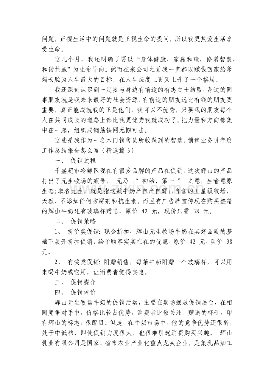 销售业务员年度工作怎么写5篇.docx_第2页