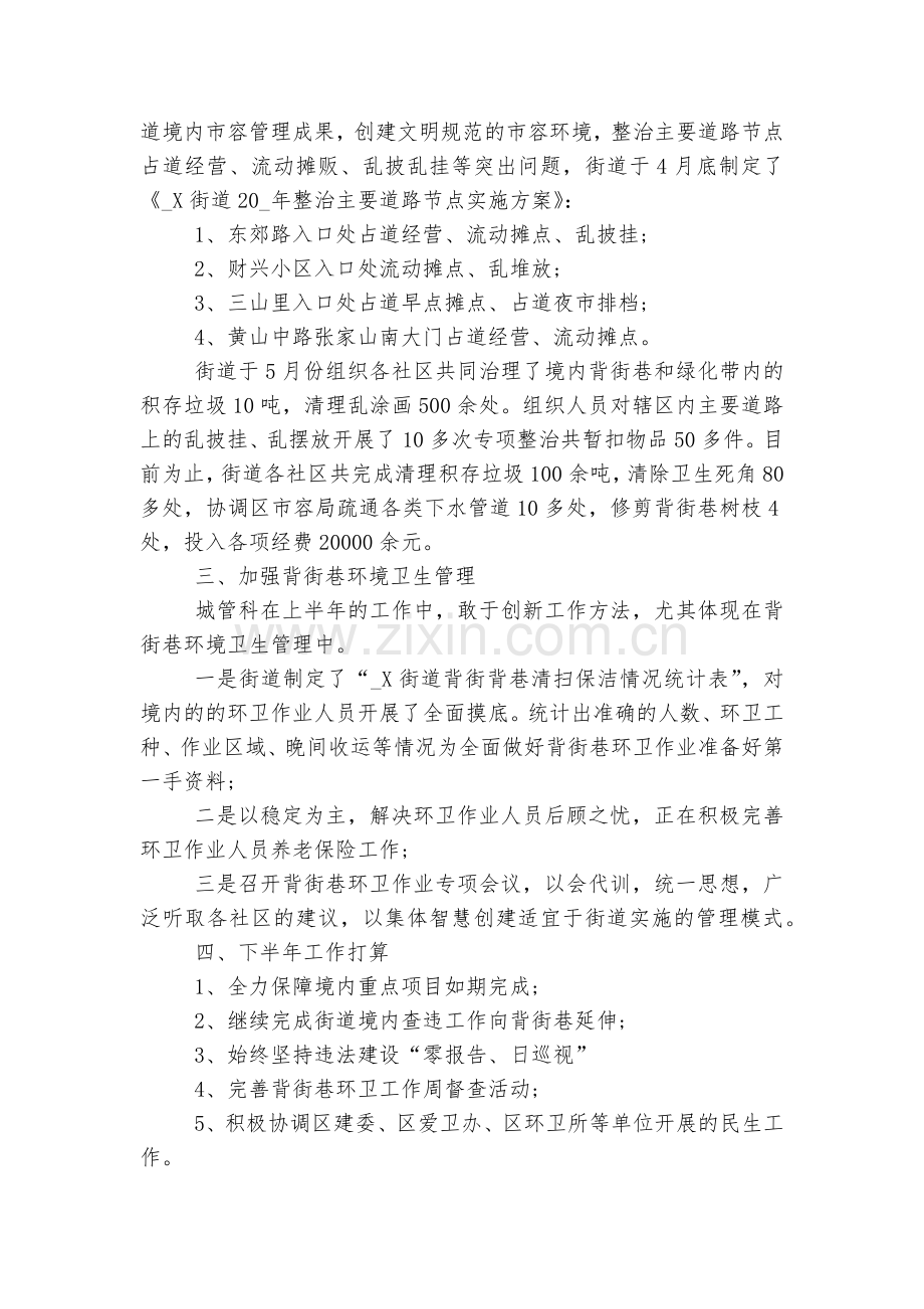 城管局工作总结怎么写.docx_第2页