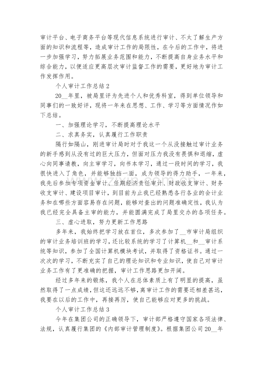 个人的审计工作总结.docx_第2页