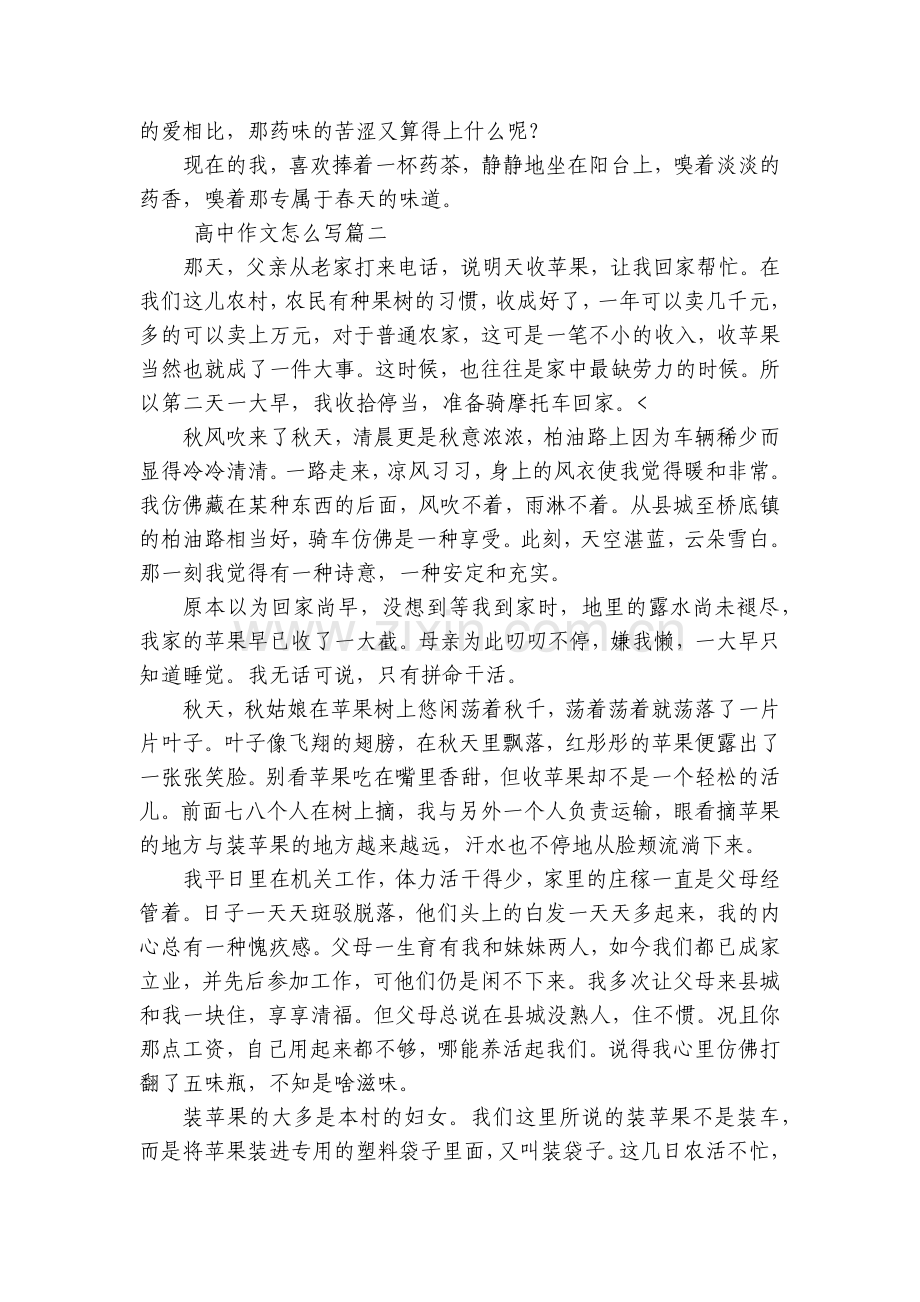 高中作文怎么写(五篇).docx_第2页