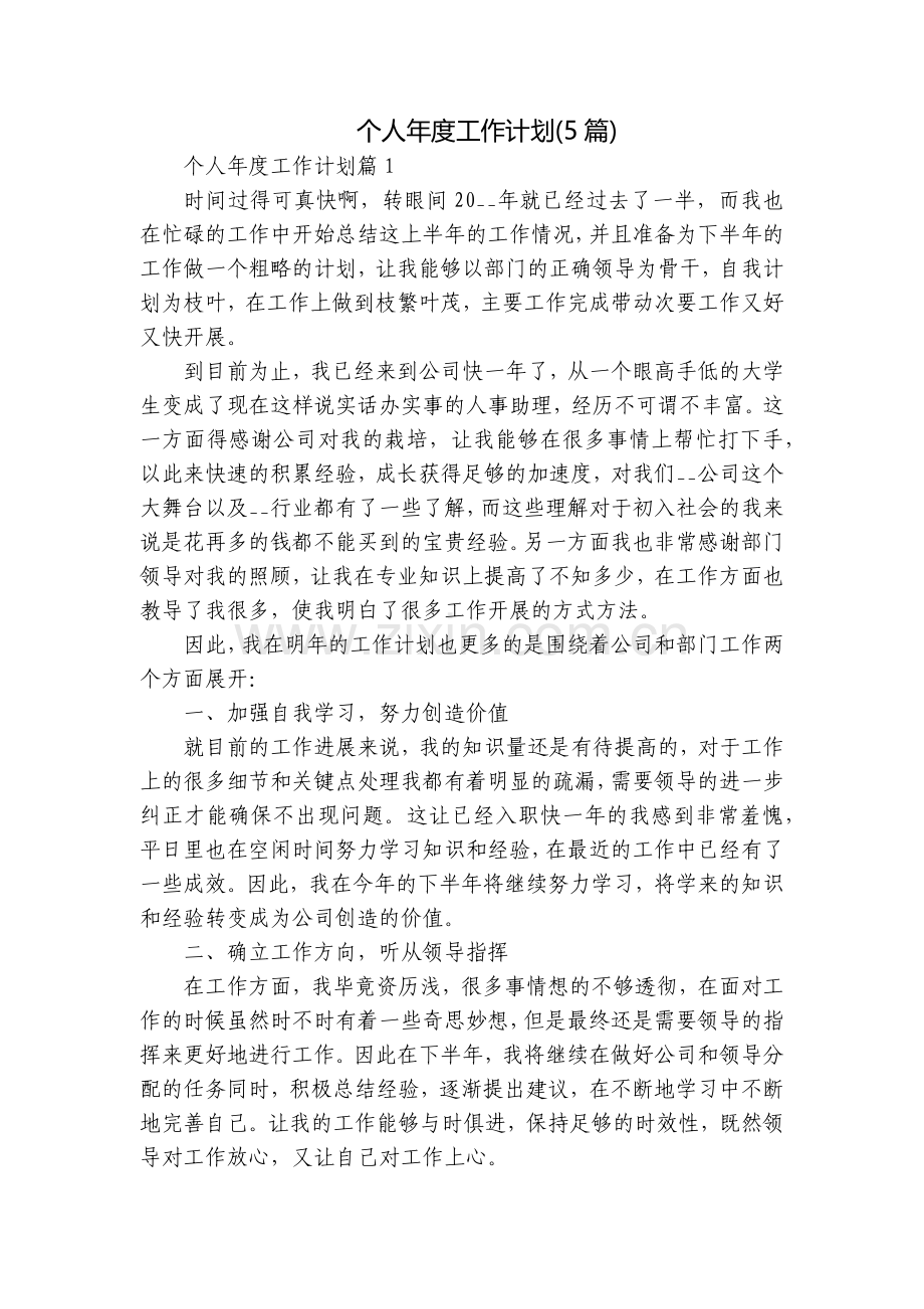 个人年度工作计划(5篇).docx_第1页