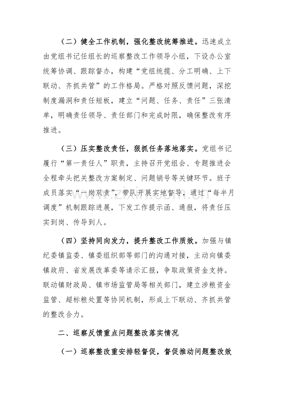 发展改革委员会2025年度党组关于镇委涉粮问题专项巡察“回头看”整改进展报告文稿.docx_第2页
