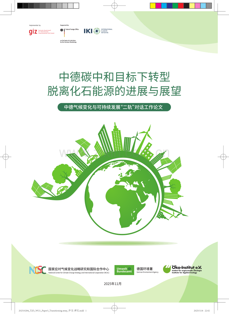 2025中德碳中和目标下转型：脱离化石能源的进展与展望.pdf_第1页