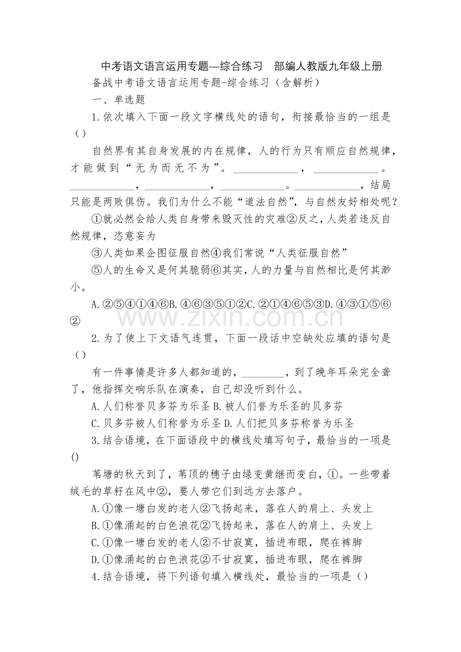 中考语文语言运用专题—综合练习--部编人教版九年级上册.docx_第1页