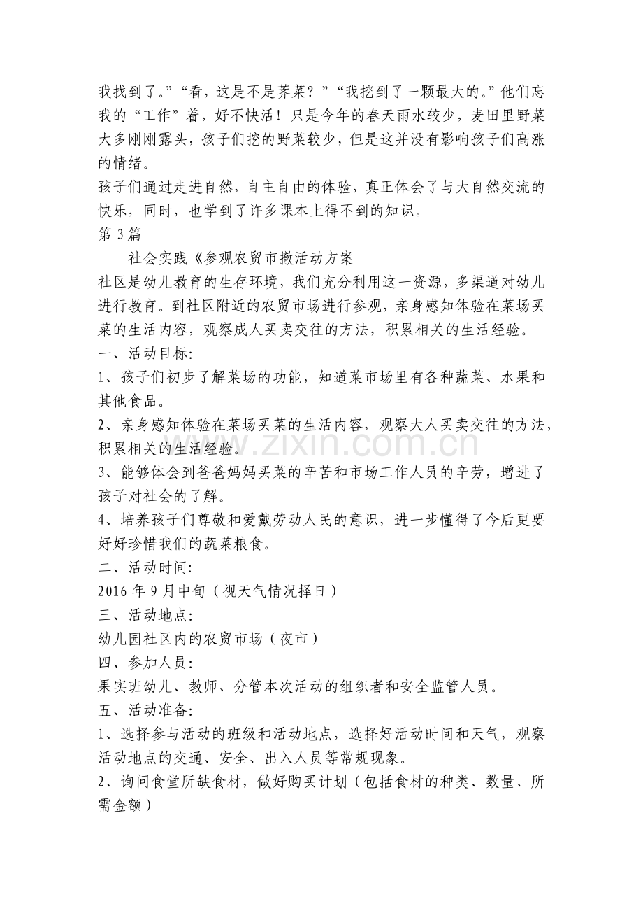 幼儿园大班社会实践活动方案共3篇.docx_第2页